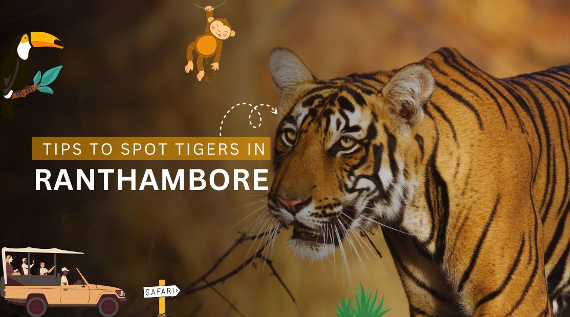 How to Spot Tigers in Ranthambore National Park