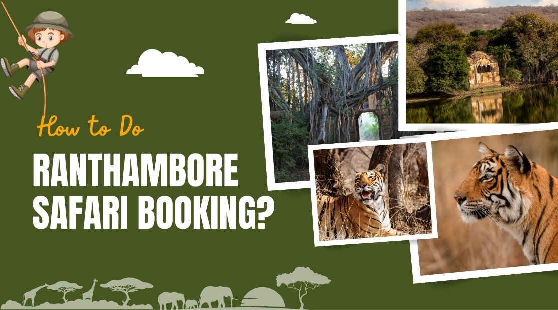 Your Ultimate Guide to Ranthambore Safari Booking with Eye of the Tiger