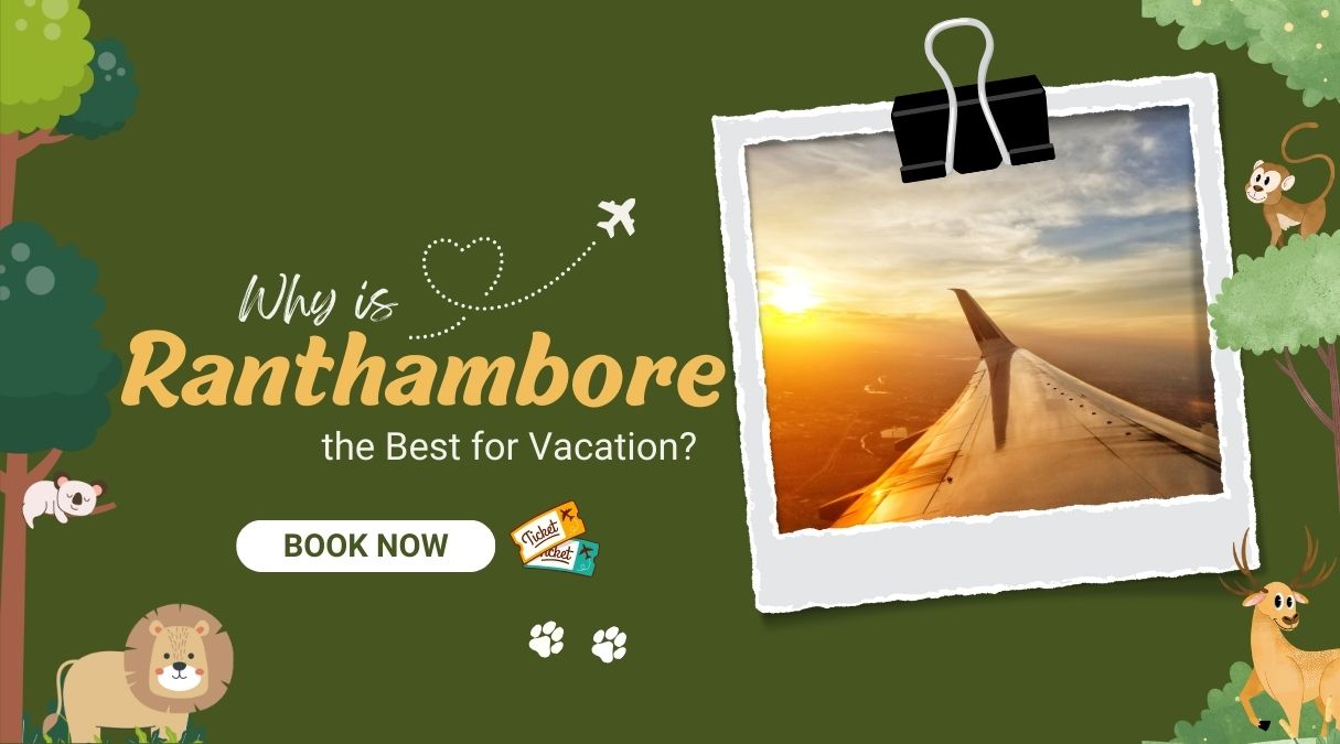 Why is Ranthambore the Best for Vacation? | Eye Of The Tiger