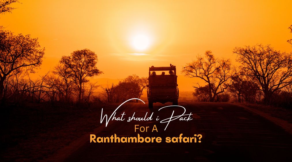 What should I pack for a Ranthambore safari? | Eye Of The Tiger