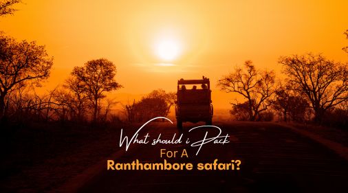 What should I pack for a Ranthambore safari? | Eye Of The Tiger