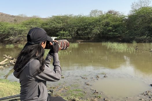 Wildlife Photography in Ranthambore National Park