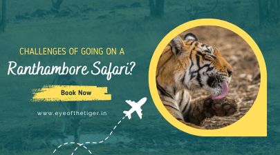 What are some of the challenges of going on a Ranthambore safari?