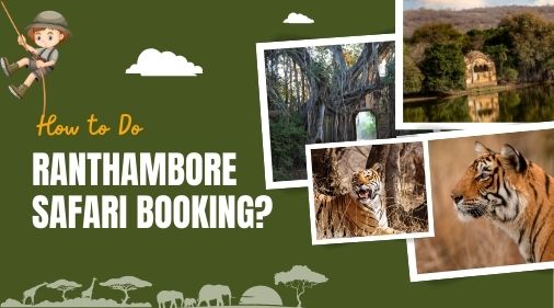 How to Do Ranthambore Safari Booking? How to Do Ranthambore Safari Booking?