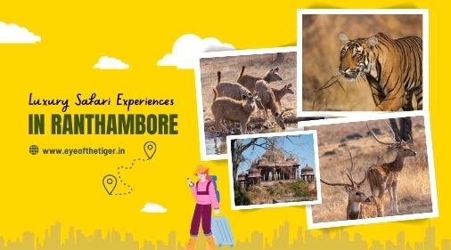 Luxury Safari Experiences in Ranthambore