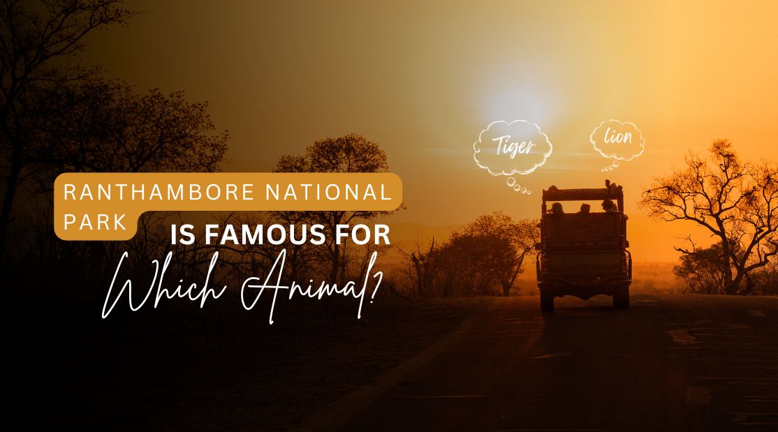 Ranthambore National Park is Famous for Which Animal? Ranthambore National Park is Famous for Which Animal?