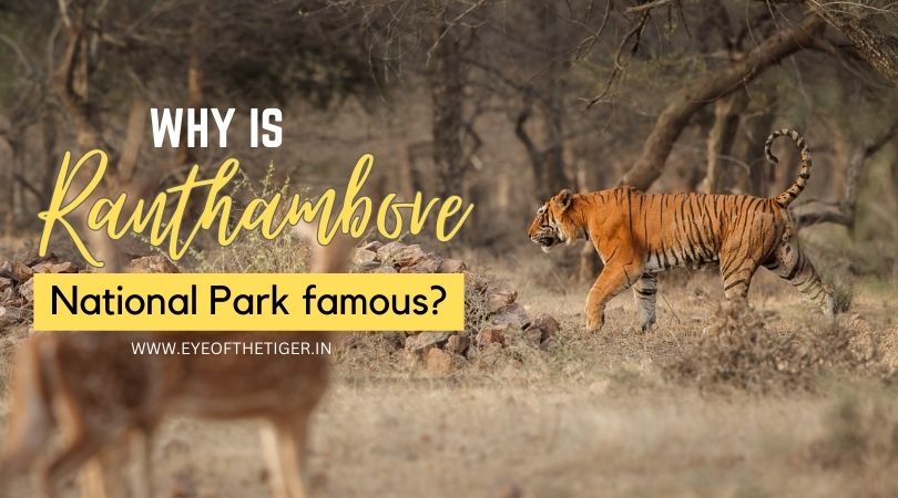 Why is Ranthambore National Park famous?